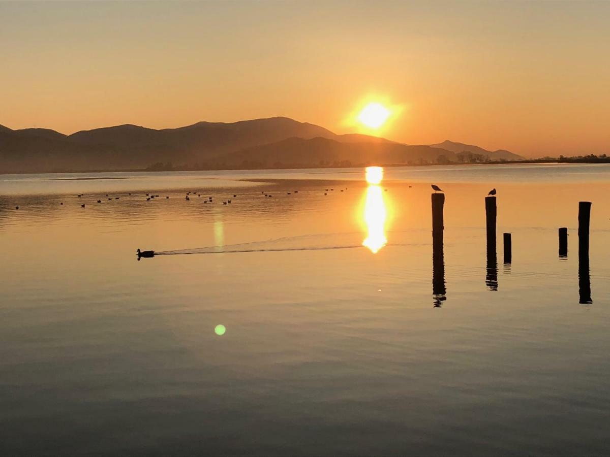 Vista Lago Torre del Lago Puccini Eksteriør bilde